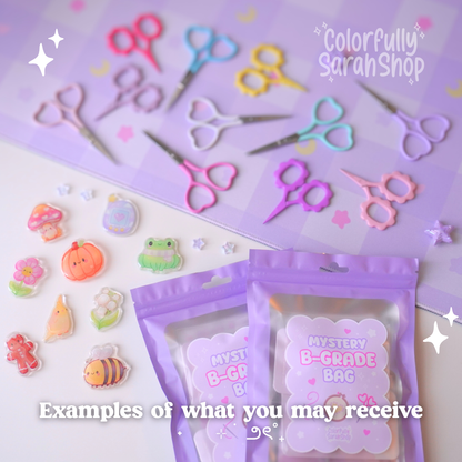 Mystery B-Grade Bags
